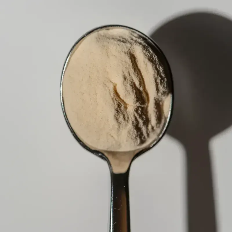 Vanilla Protein Powder