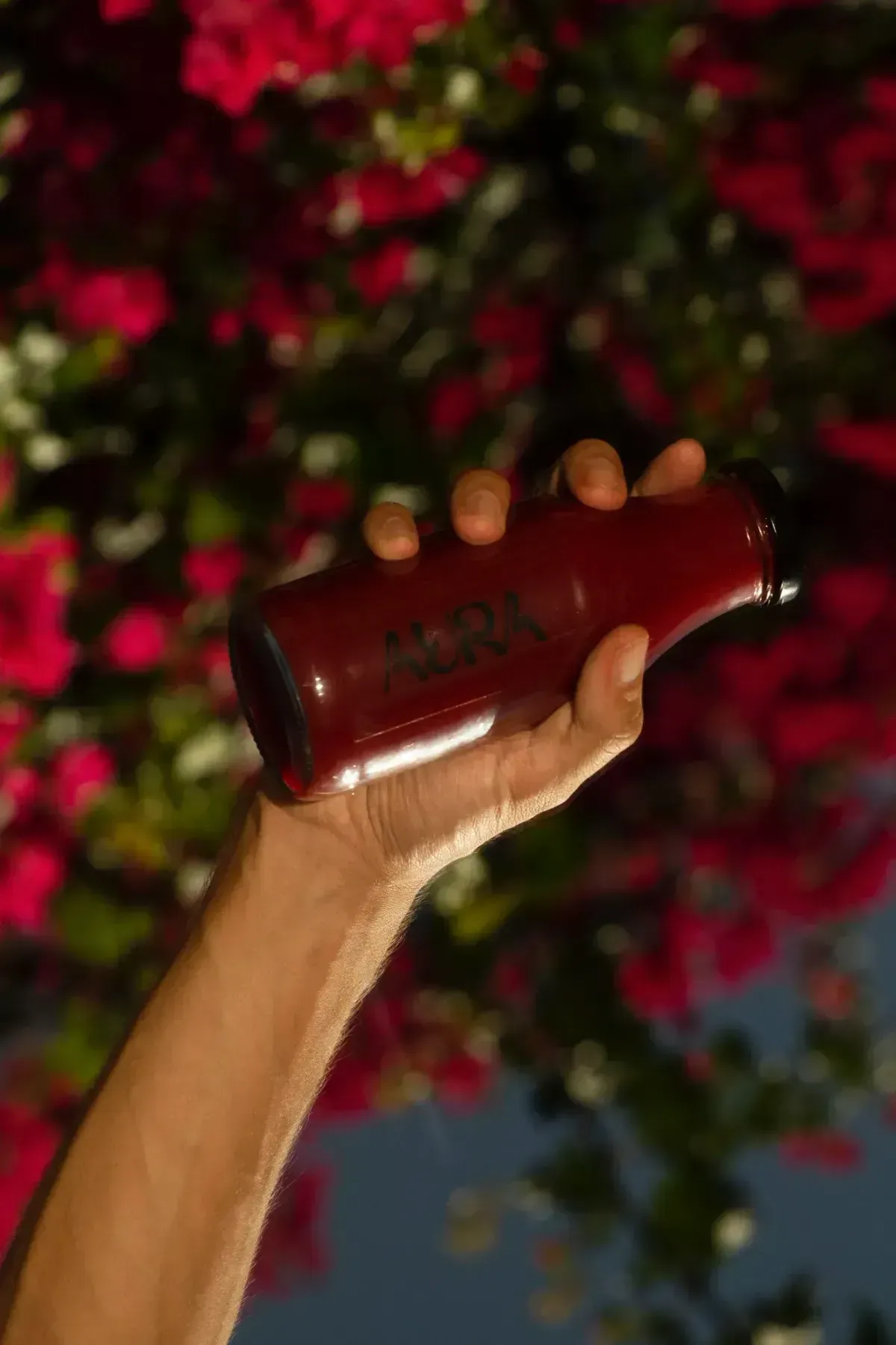 VIBRANCE lifestyle photo 1