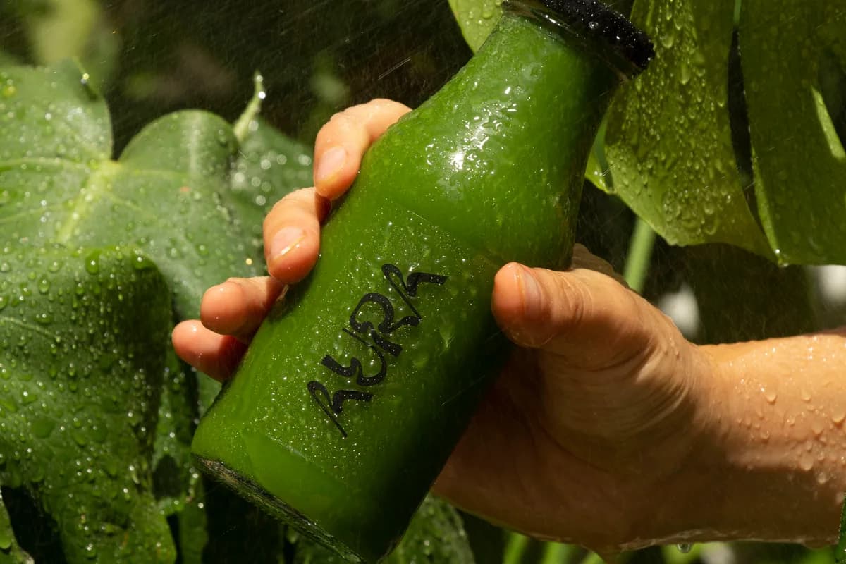 Cold-Pressed vs Blended: What the Process Actually Changes