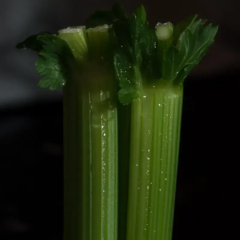 Celery