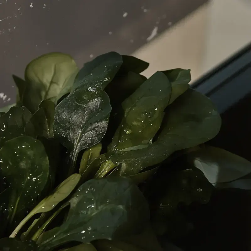 Spinach